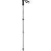 Backcountry Carbon 2.0 Poles