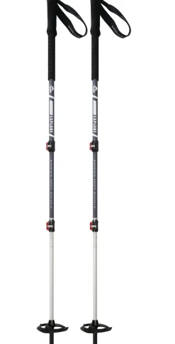 DynaLock™ Explore Backcountry Poles