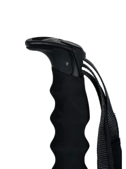 Pahto Ski Poles