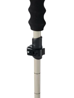 Pahto Ski Poles