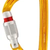 Sm'D Locking Carabiner